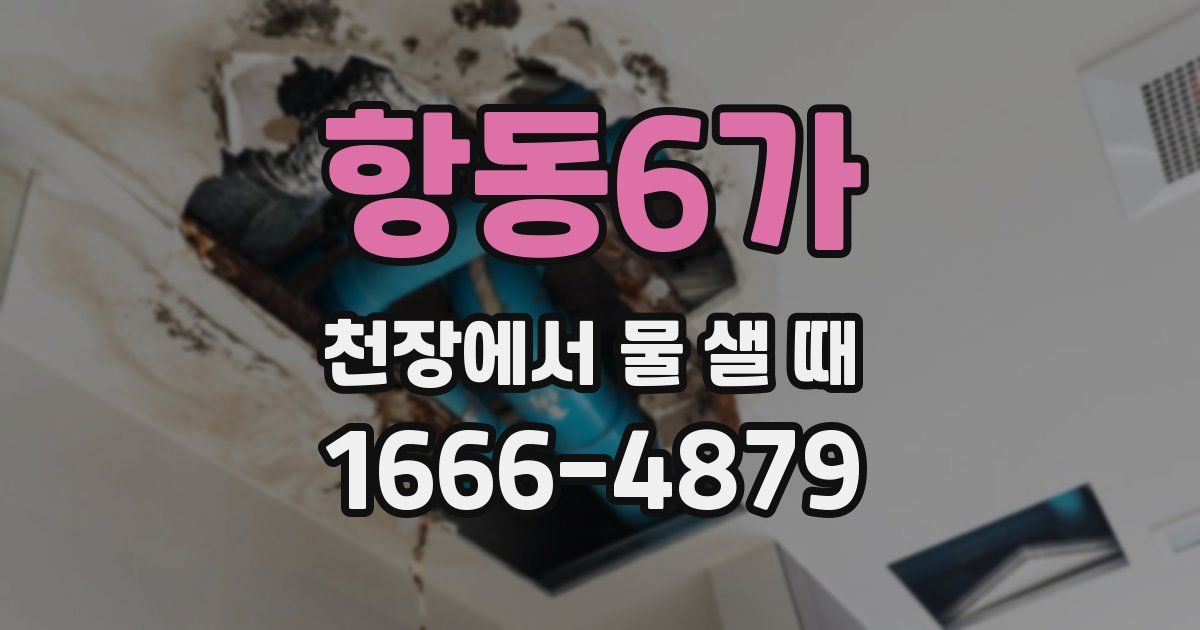 항동6가 천장에서 물 샐 때