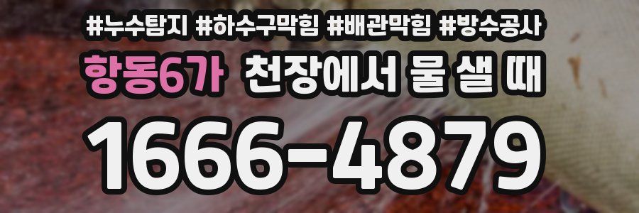 항동6가 천장에서 물 샐 때