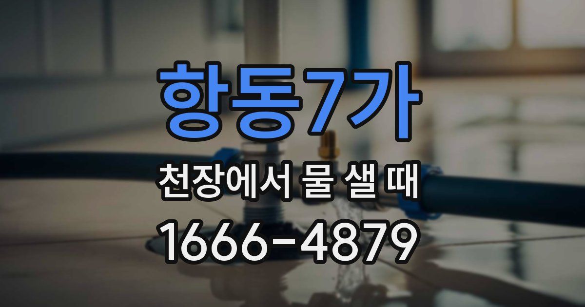 항동7가 천장에서 물 샐 때