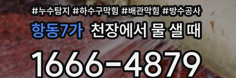항동7가 천장에서 물 샐 때