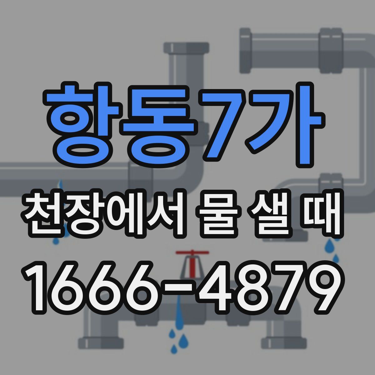 항동7가 천장에서 물 샐 때