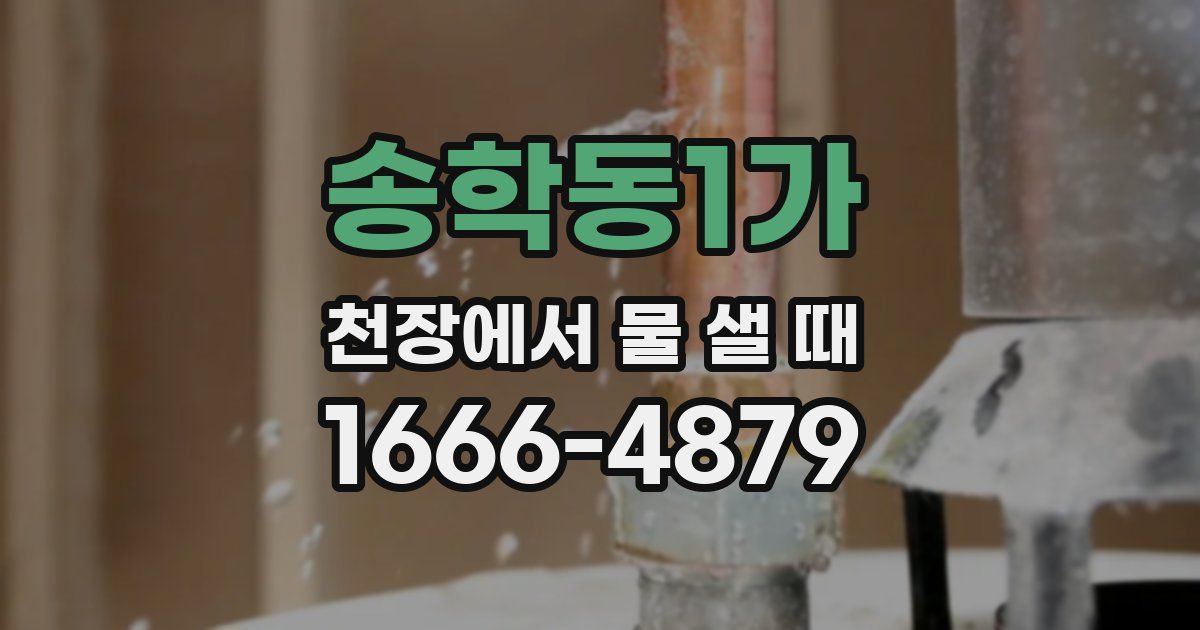 송학동1가 천장에서 물 샐 때