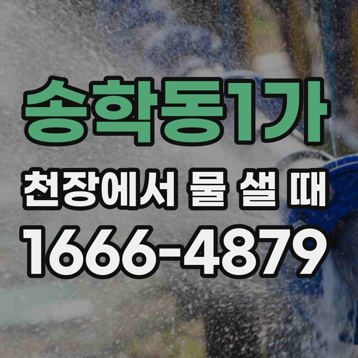 송학동1가 천장에서 물 샐 때