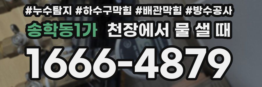 송학동1가 천장에서 물 샐 때