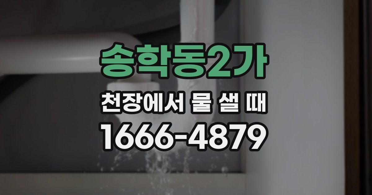 송학동2가 천장에서 물 샐 때