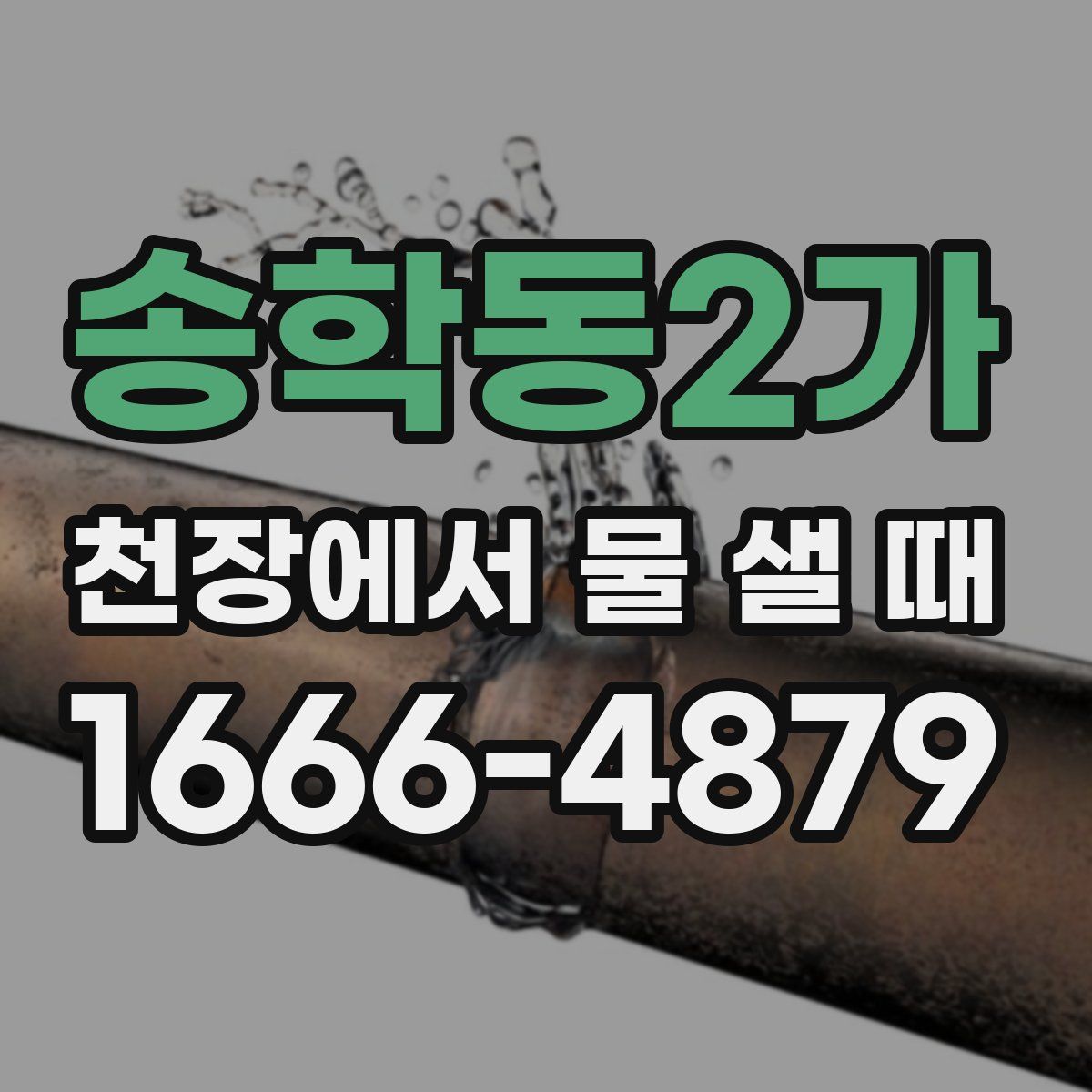 송학동2가 천장에서 물 샐 때