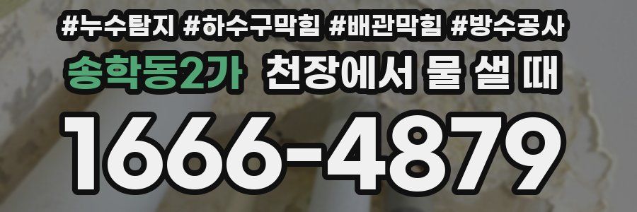 송학동2가 천장에서 물 샐 때