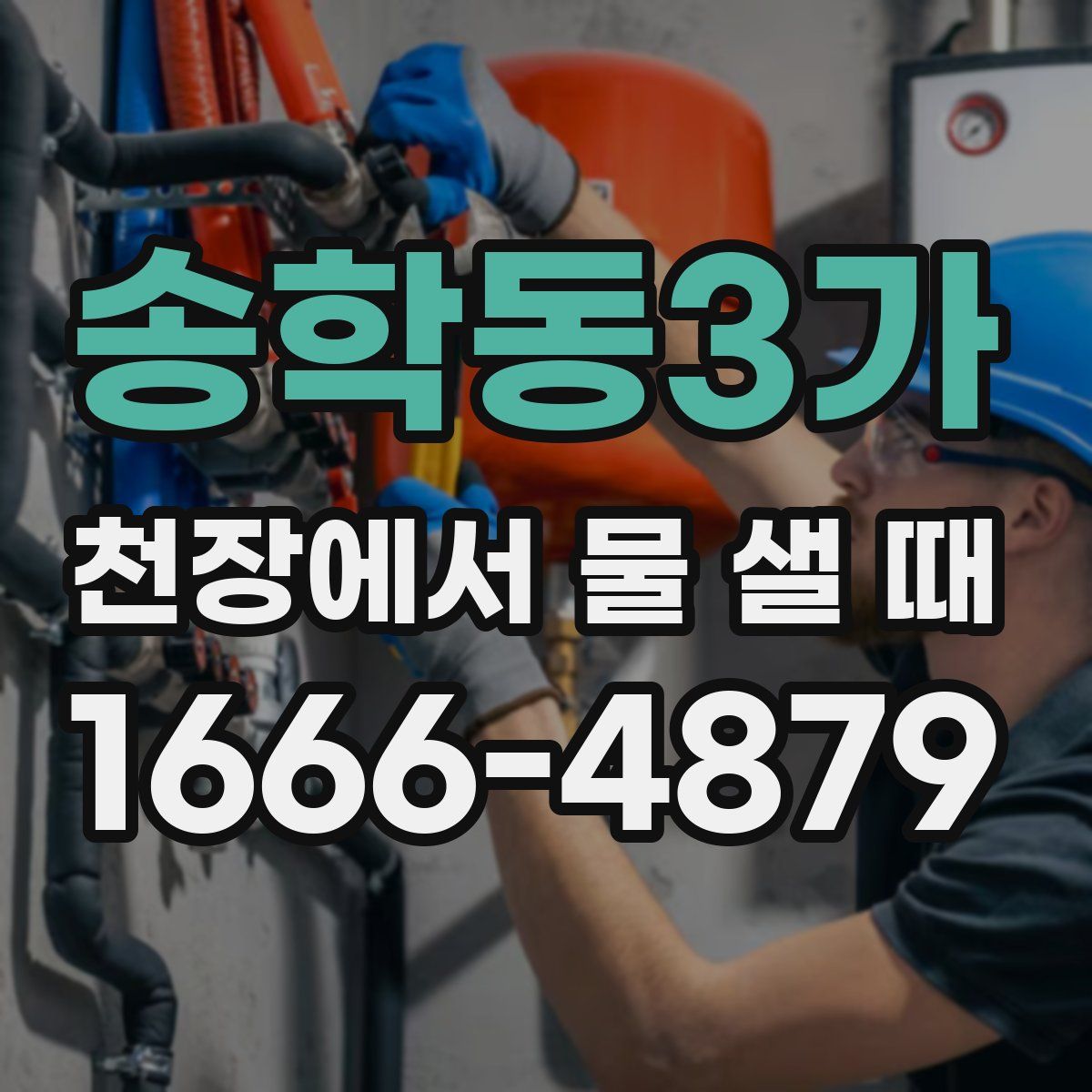 송학동3가 천장에서 물 샐 때
