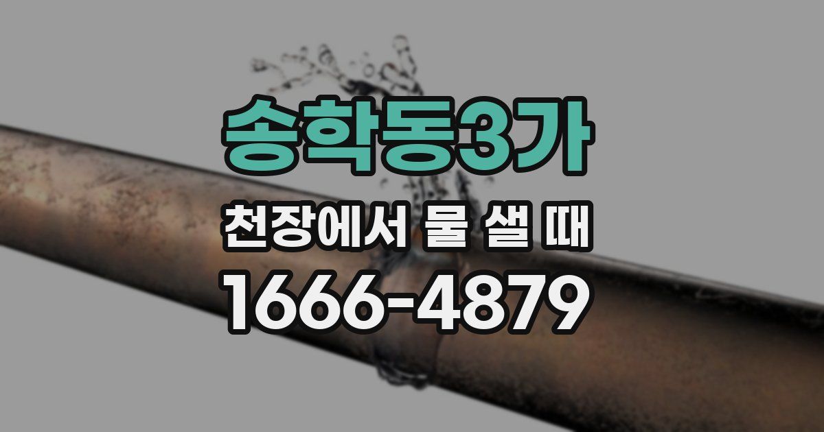 송학동3가 천장에서 물 샐 때