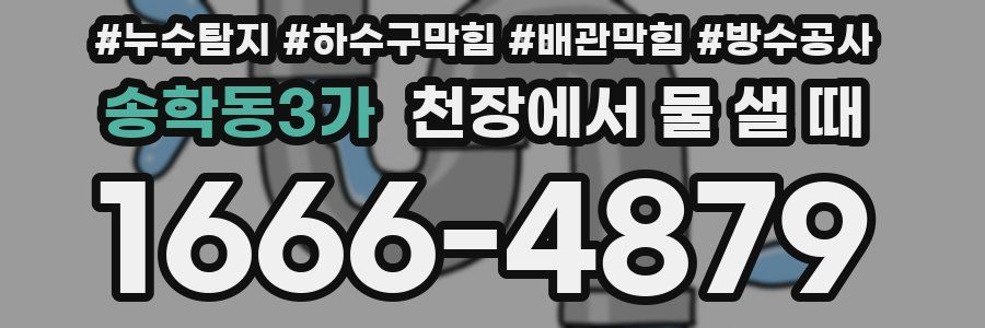 송학동3가 천장에서 물 샐 때