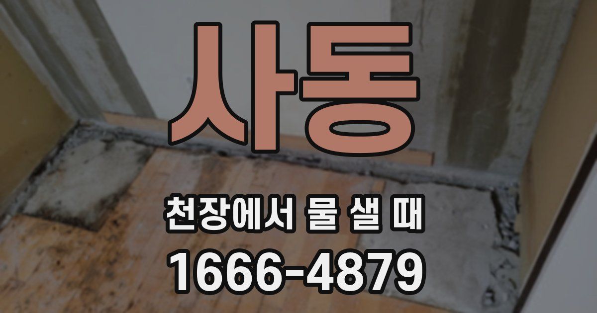 사동 천장에서 물 샐 때