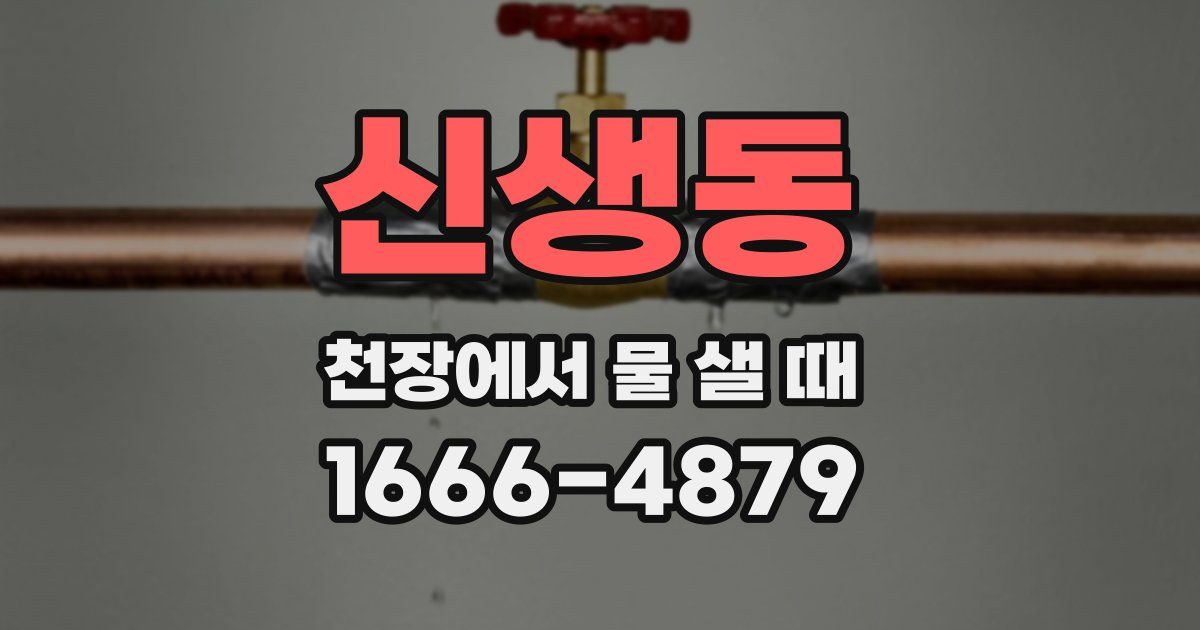 신생동 천장에서 물 샐 때