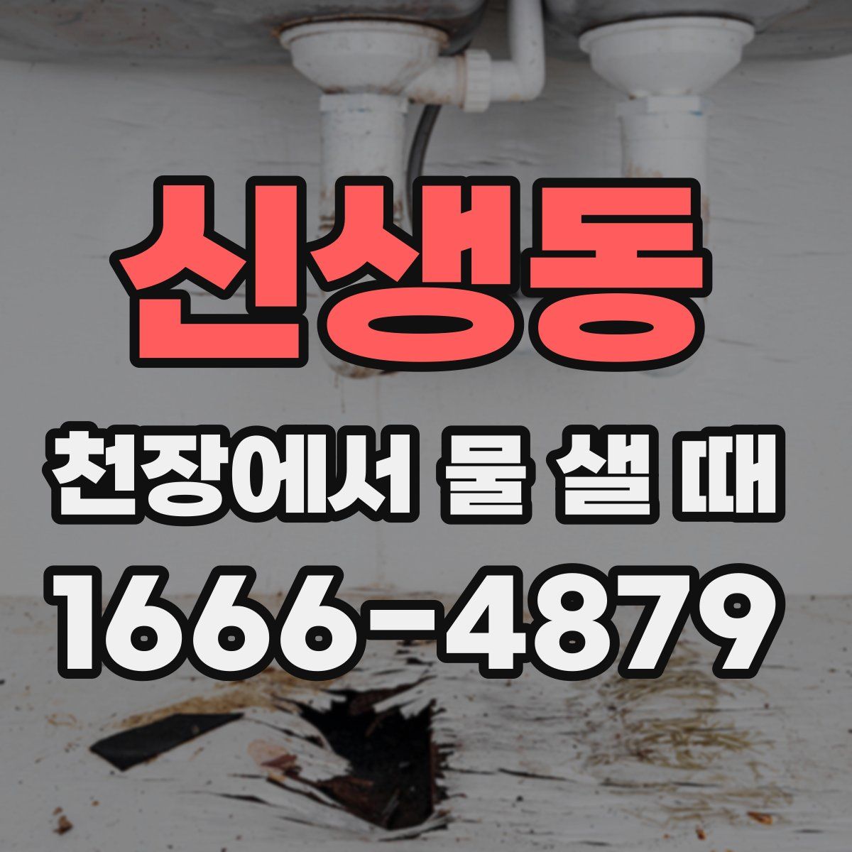 신생동 천장에서 물 샐 때