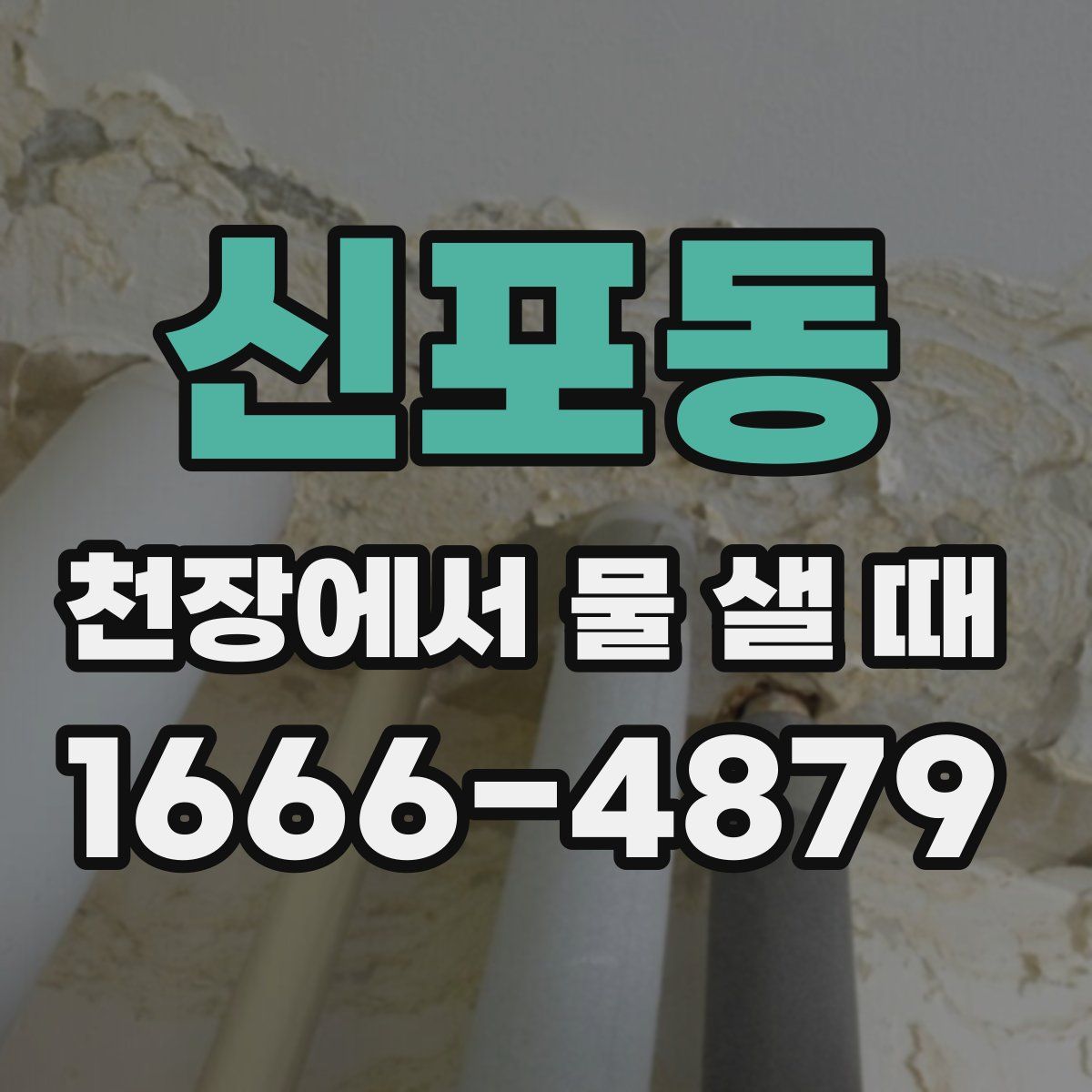 신포동 천장에서 물 샐 때