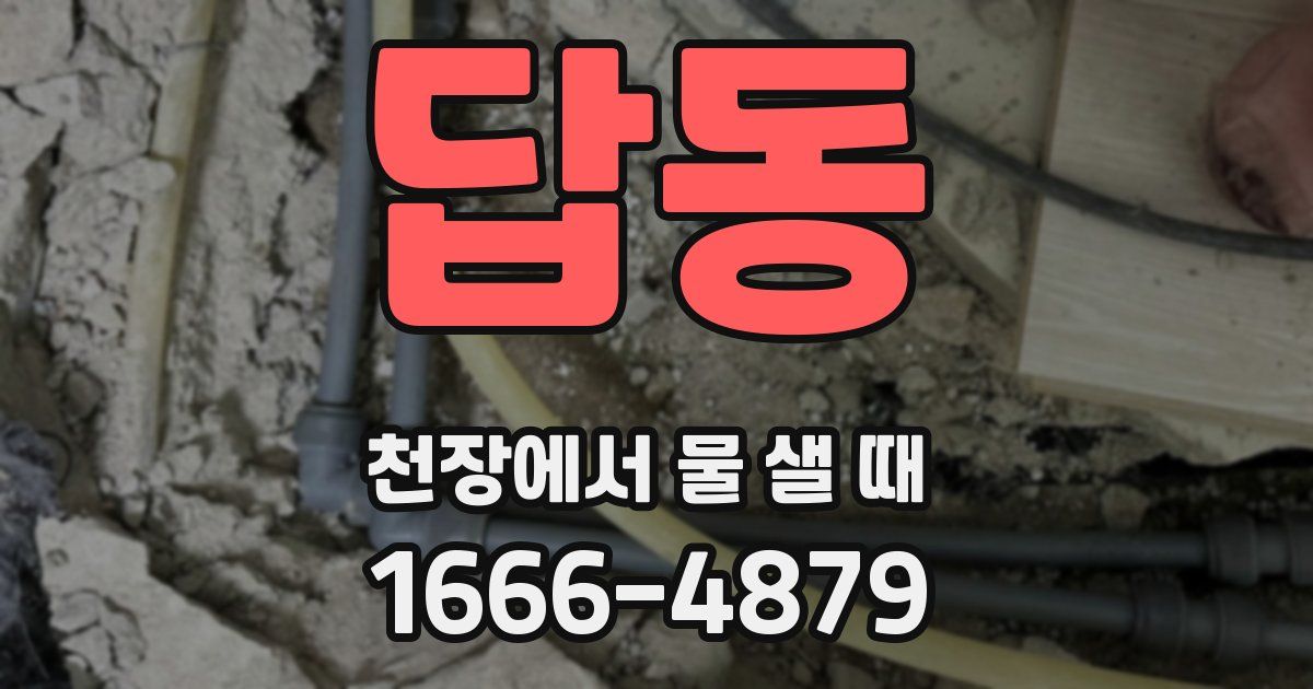 답동 천장에서 물 샐 때