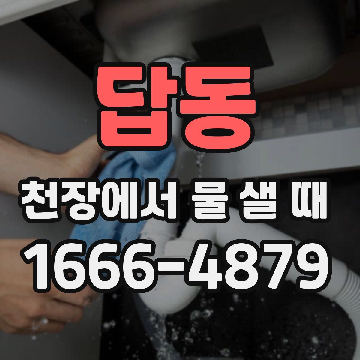 답동 천장에서 물 샐 때