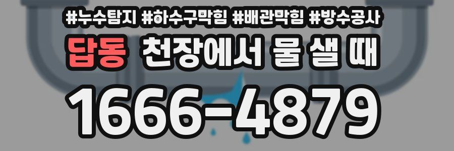 답동 천장에서 물 샐 때
