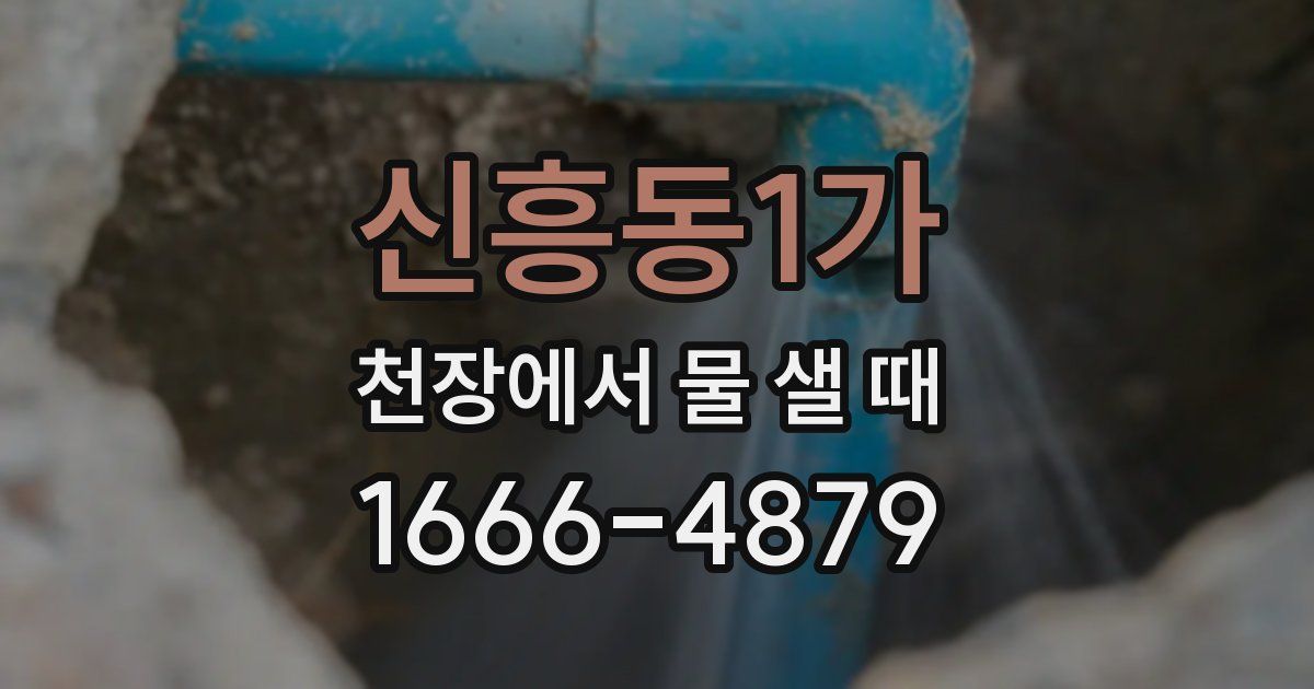 신흥동1가 천장에서 물 샐 때
