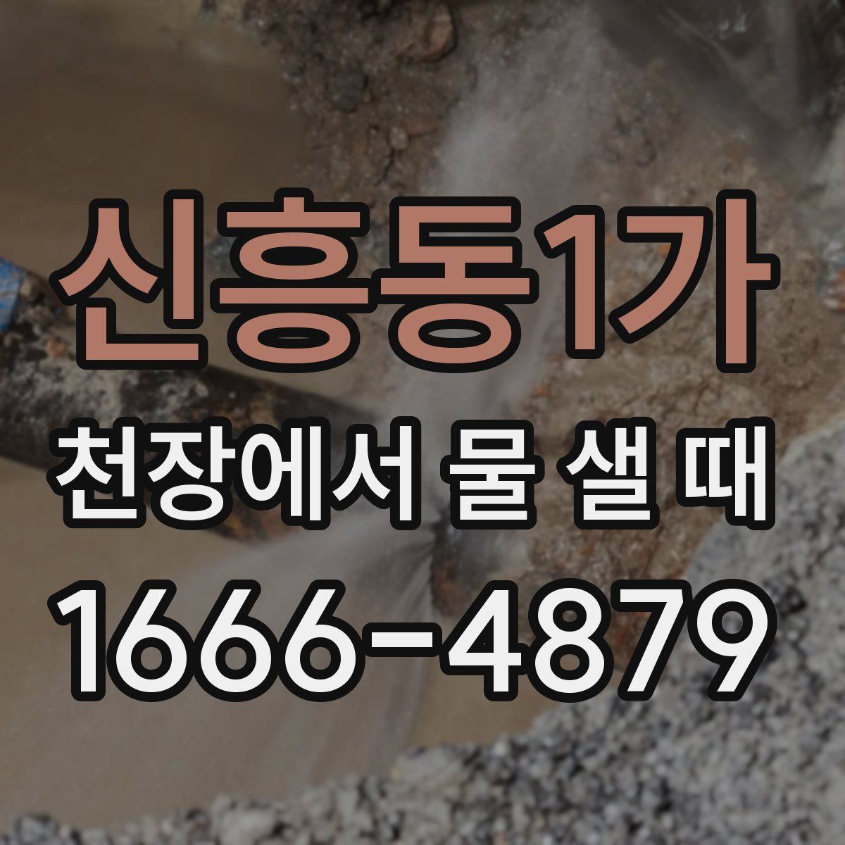 신흥동1가 천장에서 물 샐 때
