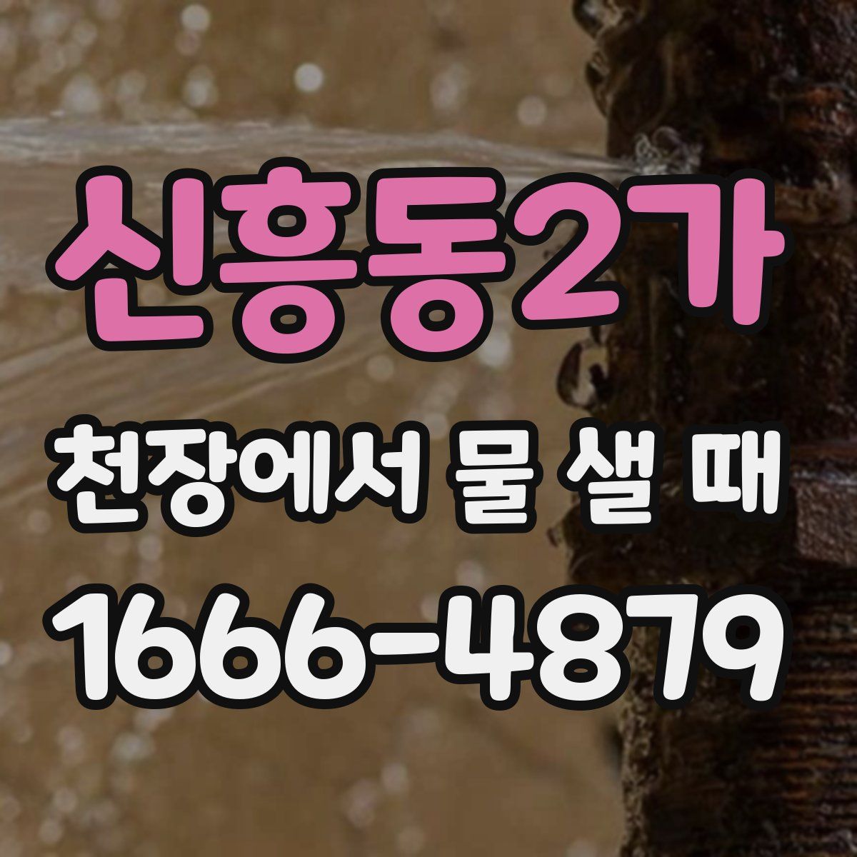 신흥동2가 천장에서 물 샐 때