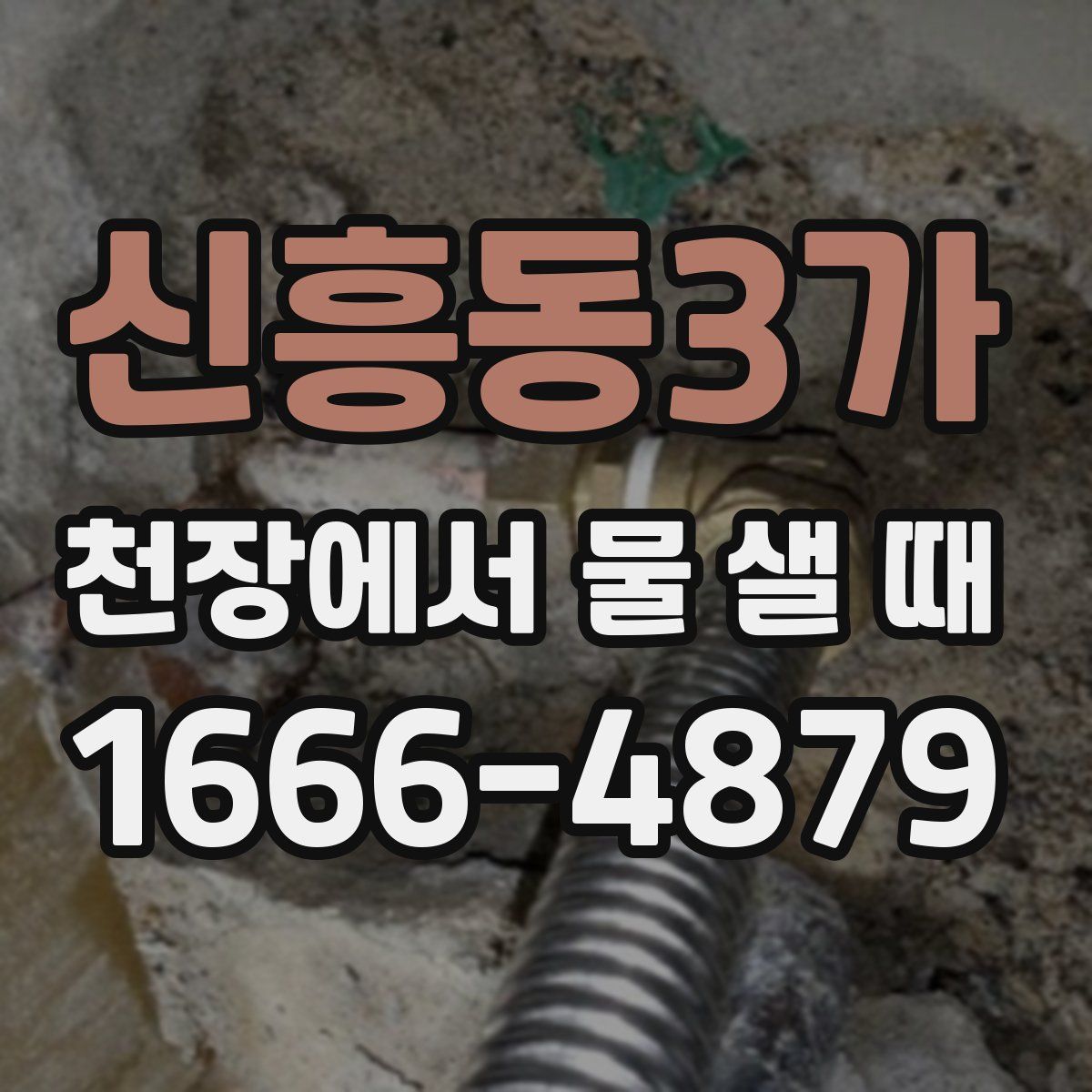 신흥동3가 천장에서 물 샐 때
