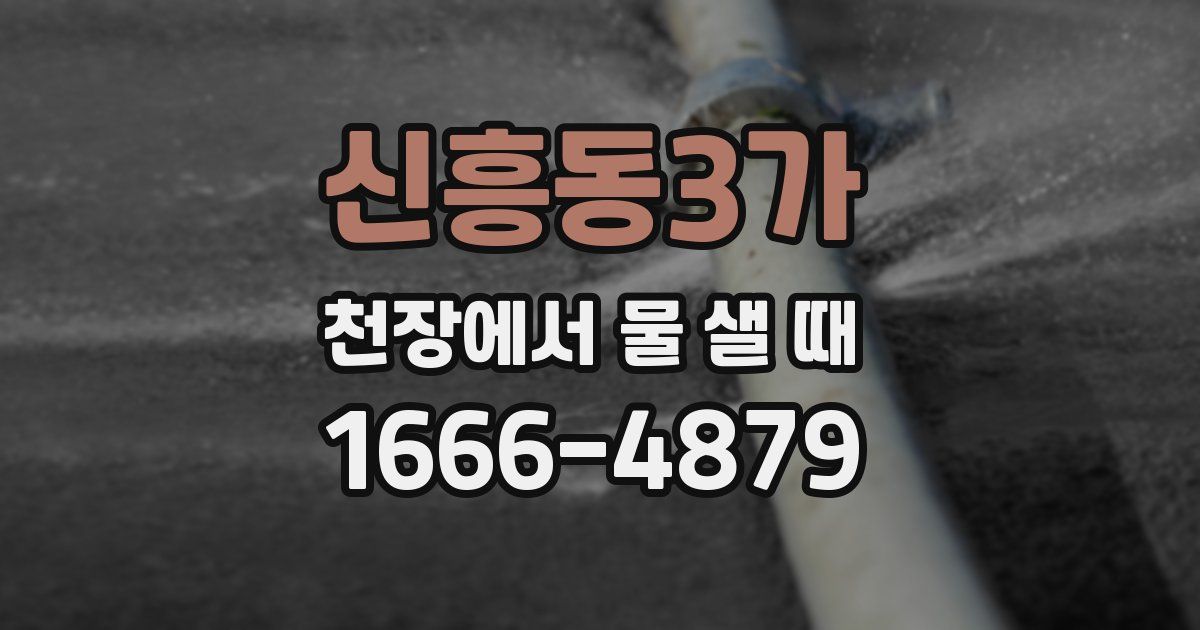 신흥동3가 천장에서 물 샐 때