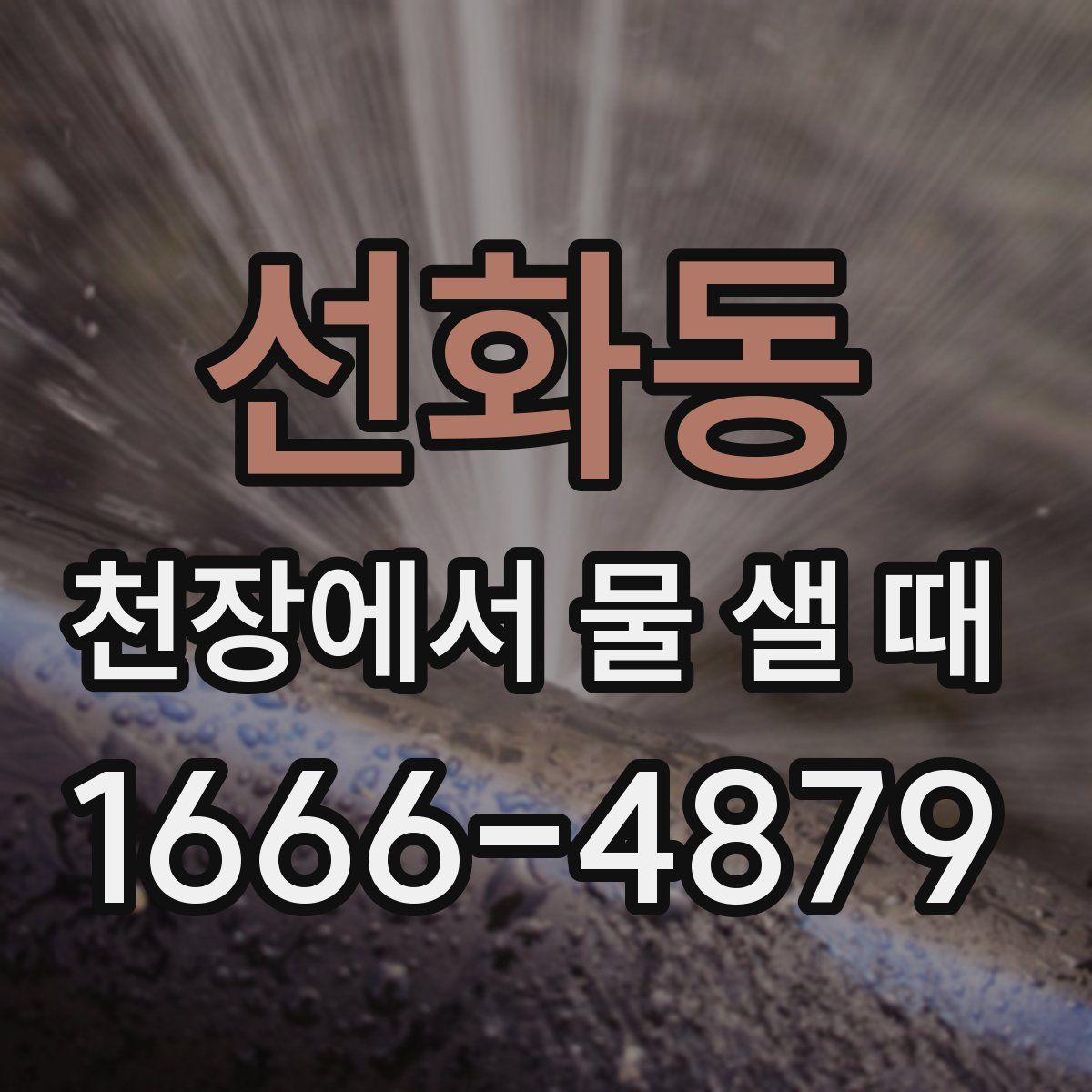 선화동 천장에서 물 샐 때