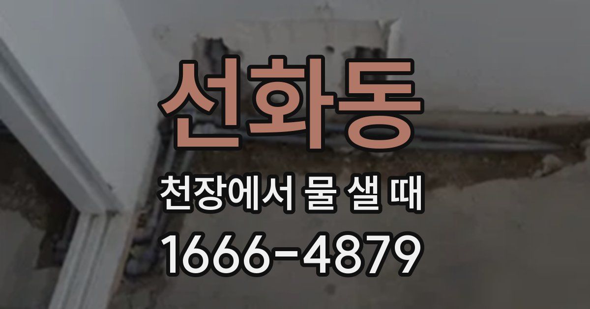 선화동 천장에서 물 샐 때