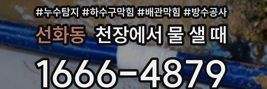 선화동 천장에서 물 샐 때
