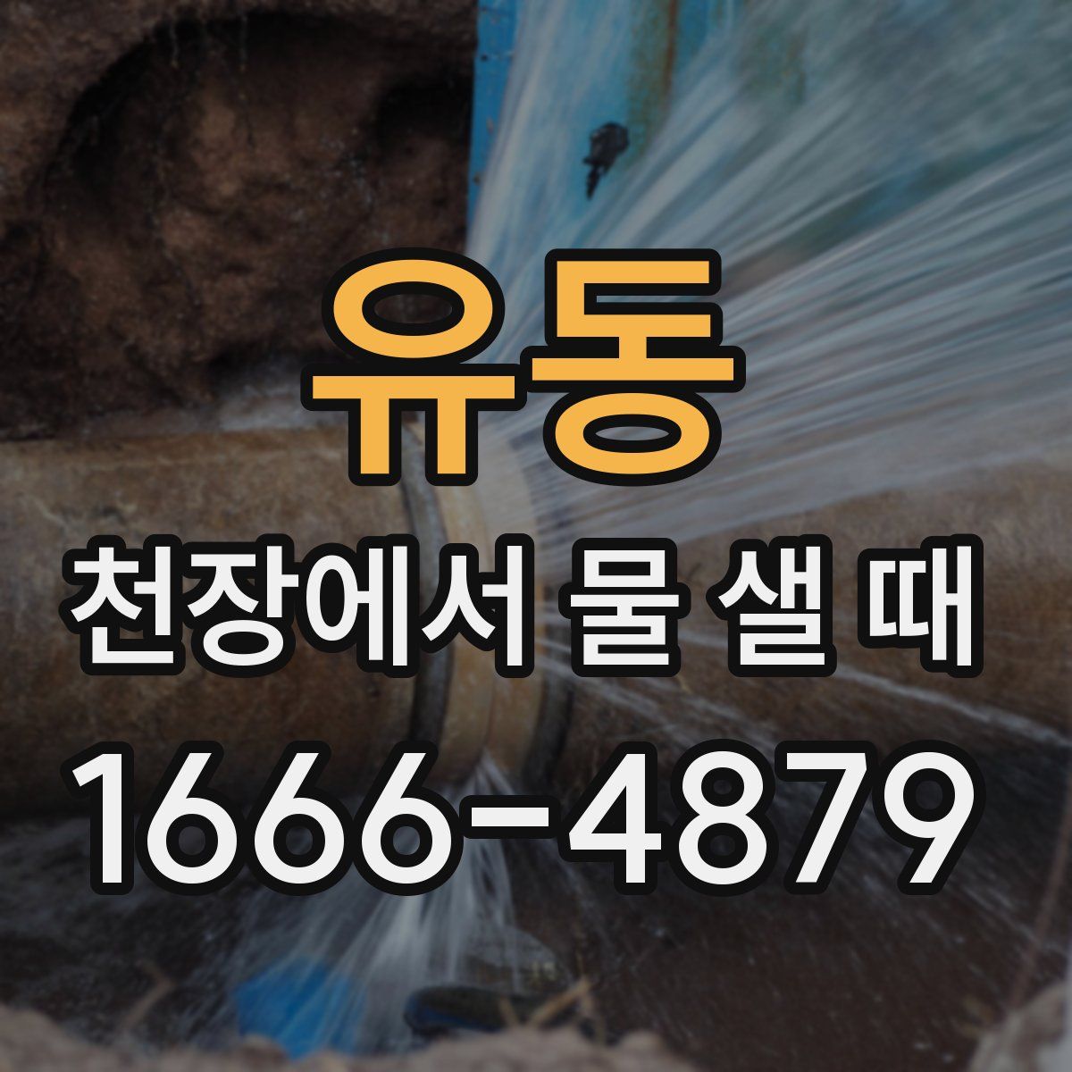 유동 천장에서 물 샐 때