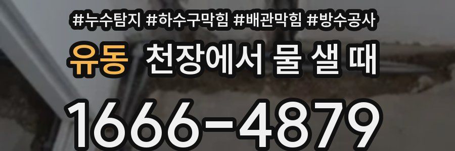 유동 천장에서 물 샐 때