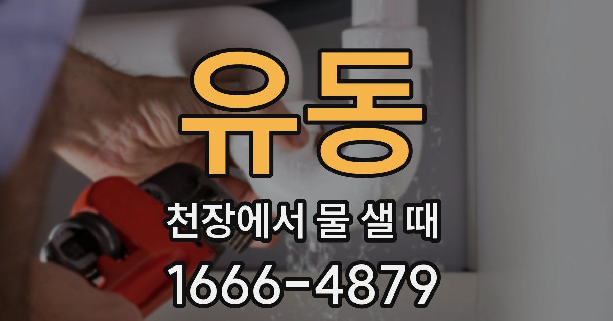 유동 천장에서 물 샐 때