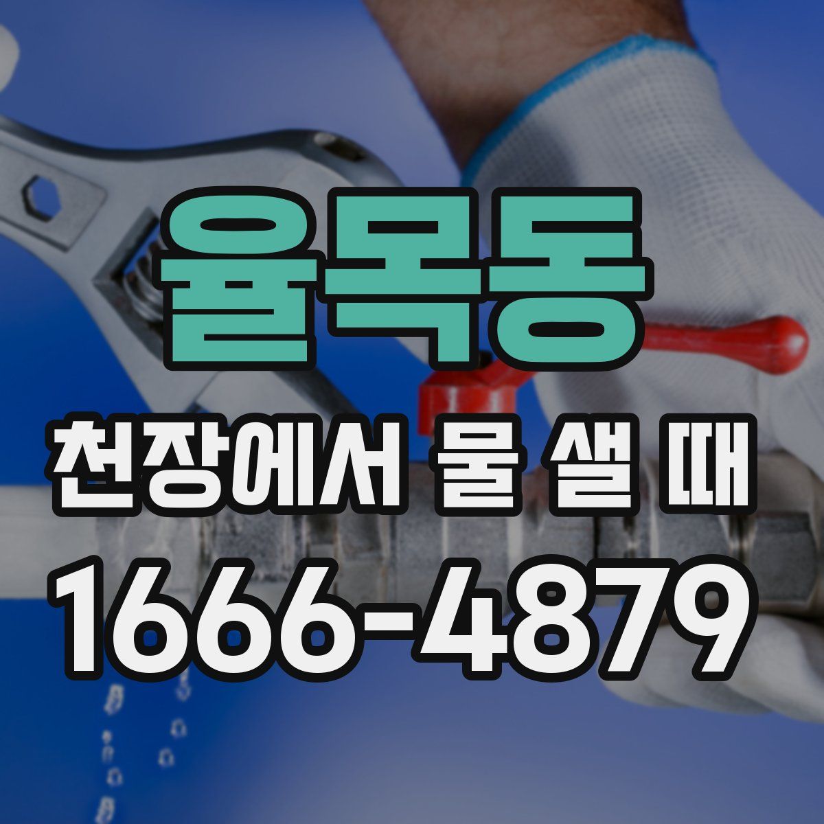 율목동 천장에서 물 샐 때