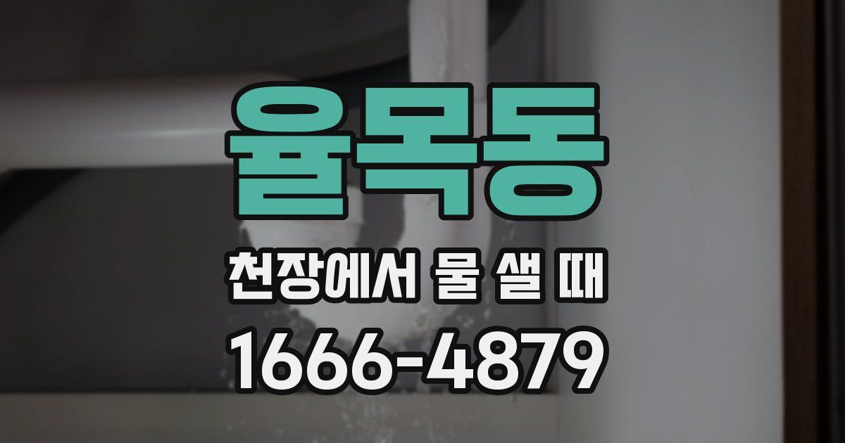 율목동 천장에서 물 샐 때