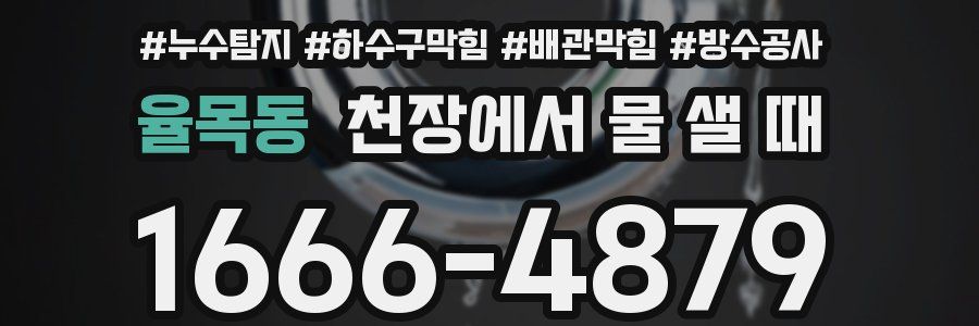 율목동 천장에서 물 샐 때