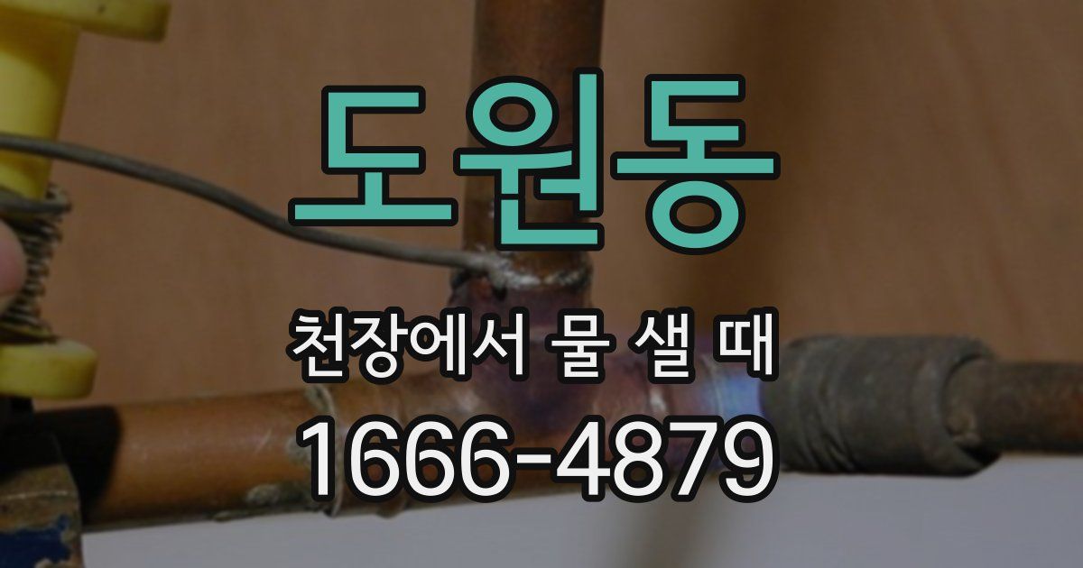 도원동 천장에서 물 샐 때