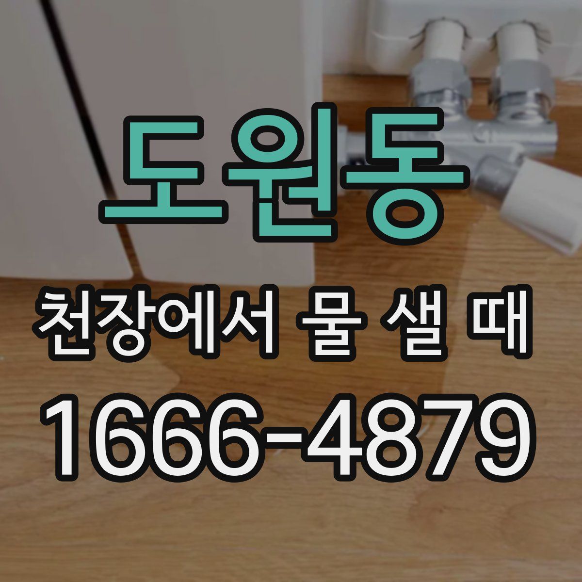 도원동 천장에서 물 샐 때