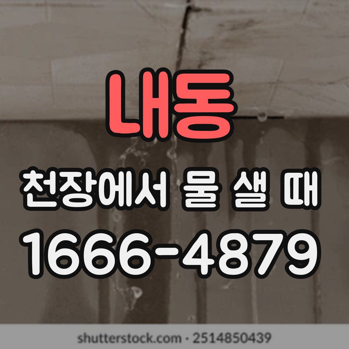내동 천장에서 물 샐 때