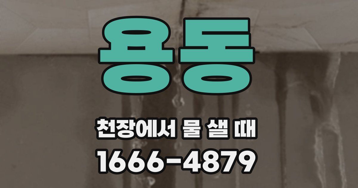 용동 천장에서 물 샐 때