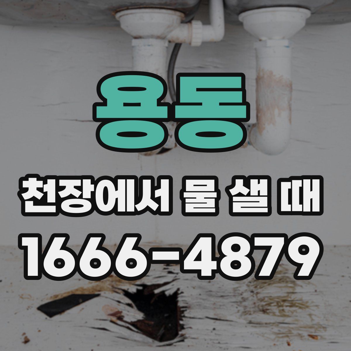 용동 천장에서 물 샐 때