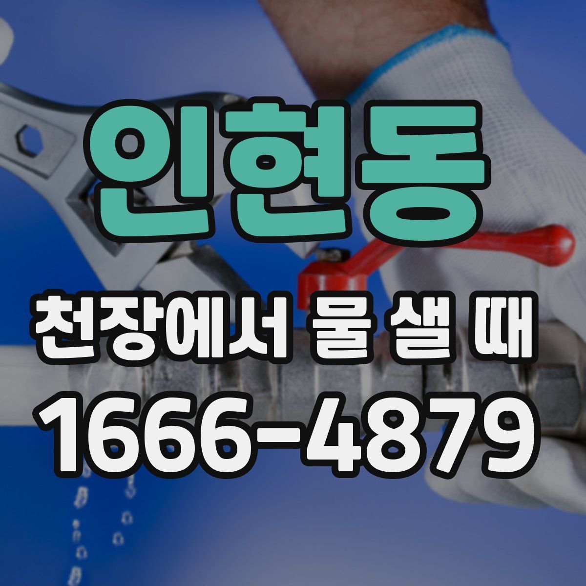인현동 천장에서 물 샐 때