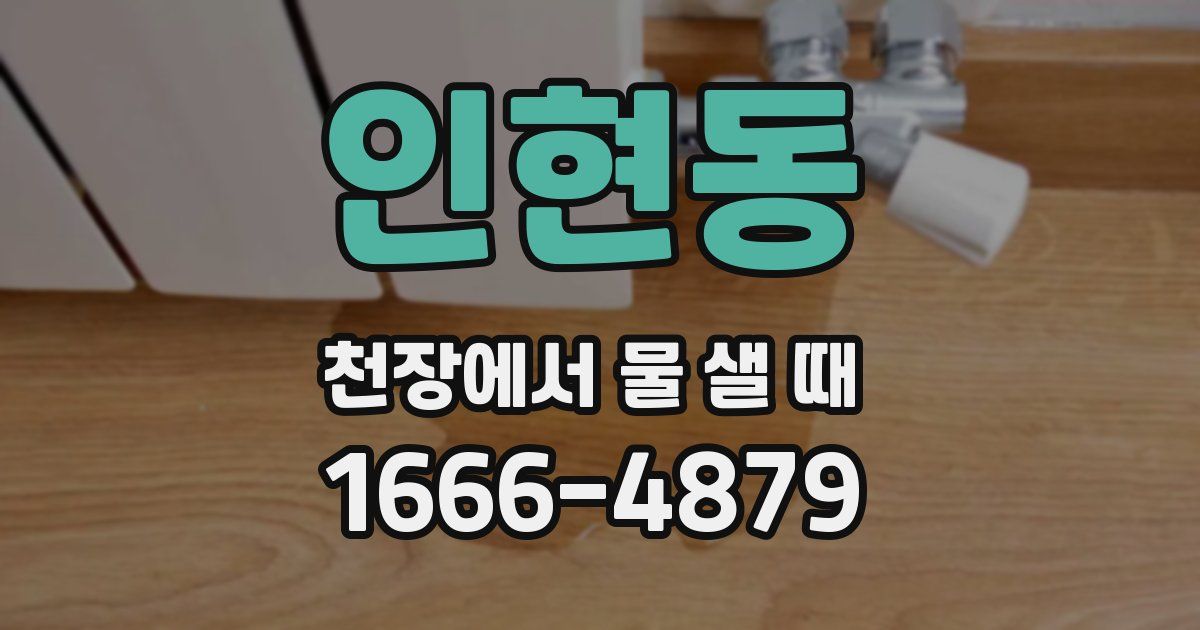 인현동 천장에서 물 샐 때