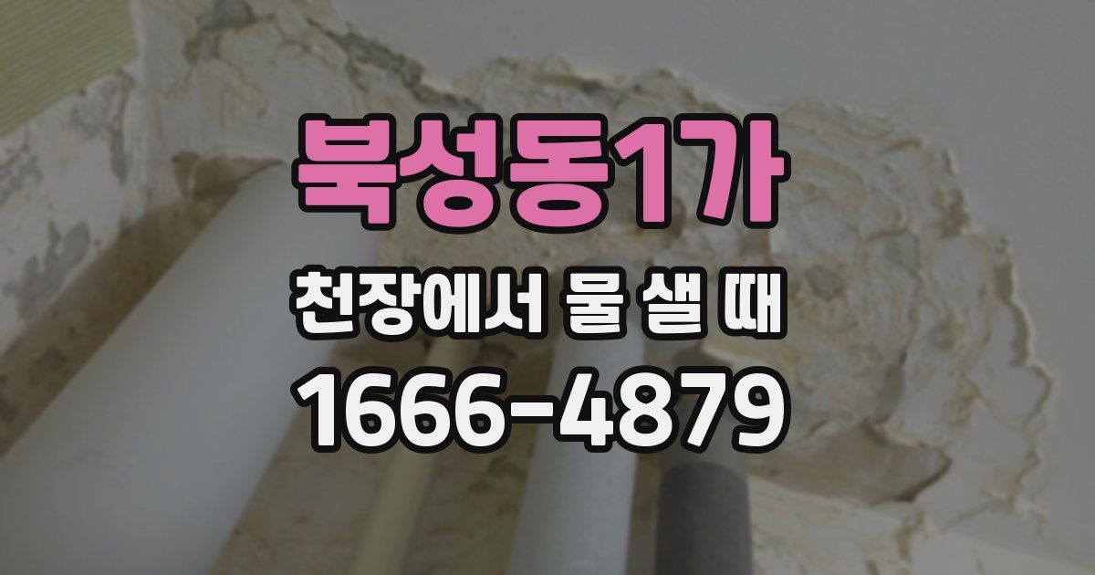 북성동1가 천장에서 물 샐 때