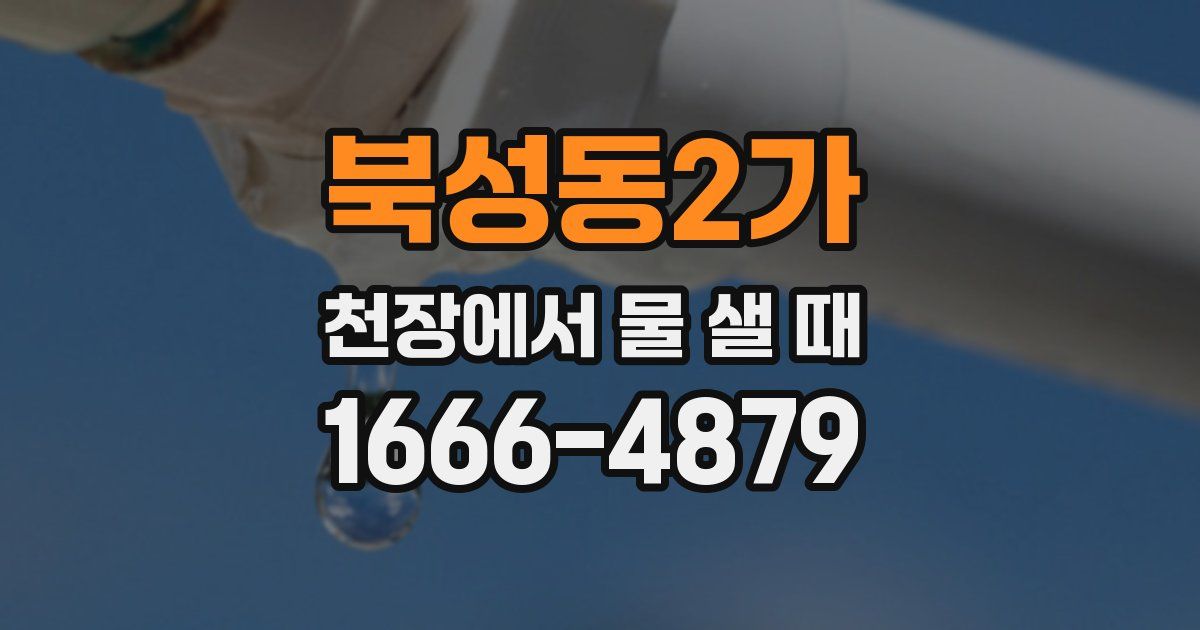 북성동2가 천장에서 물 샐 때