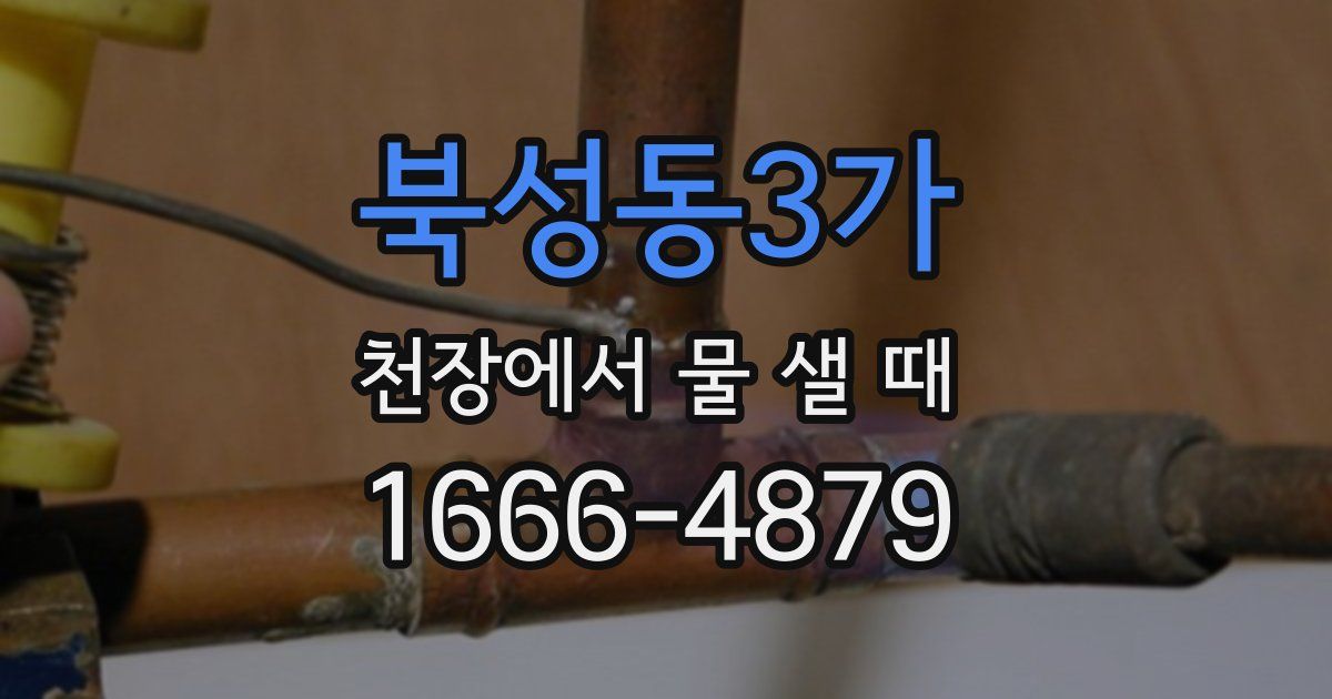 북성동3가 천장에서 물 샐 때