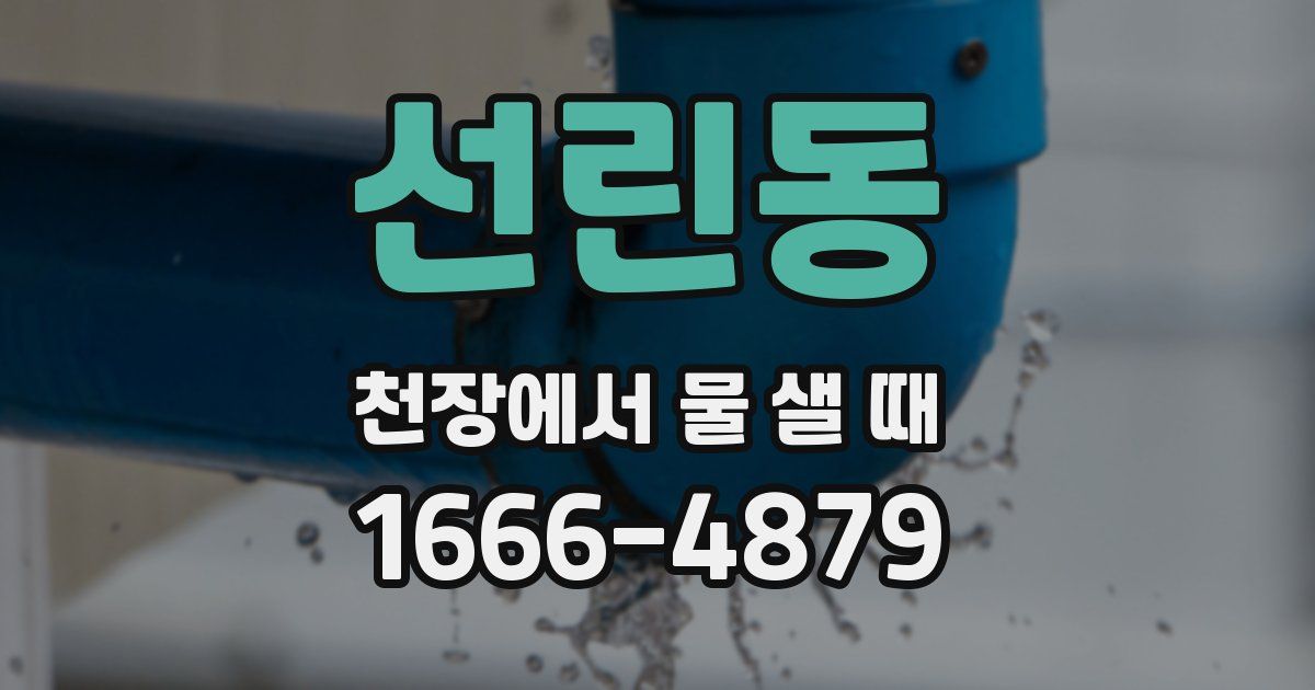 선린동 천장에서 물 샐 때