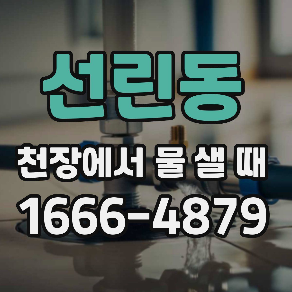 선린동 천장에서 물 샐 때