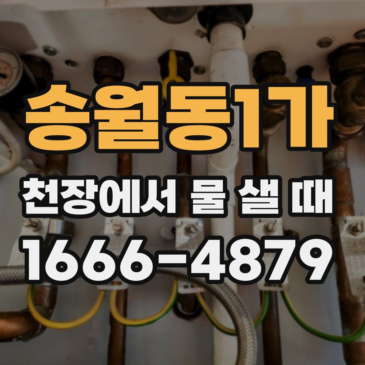 송월동1가 천장에서 물 샐 때