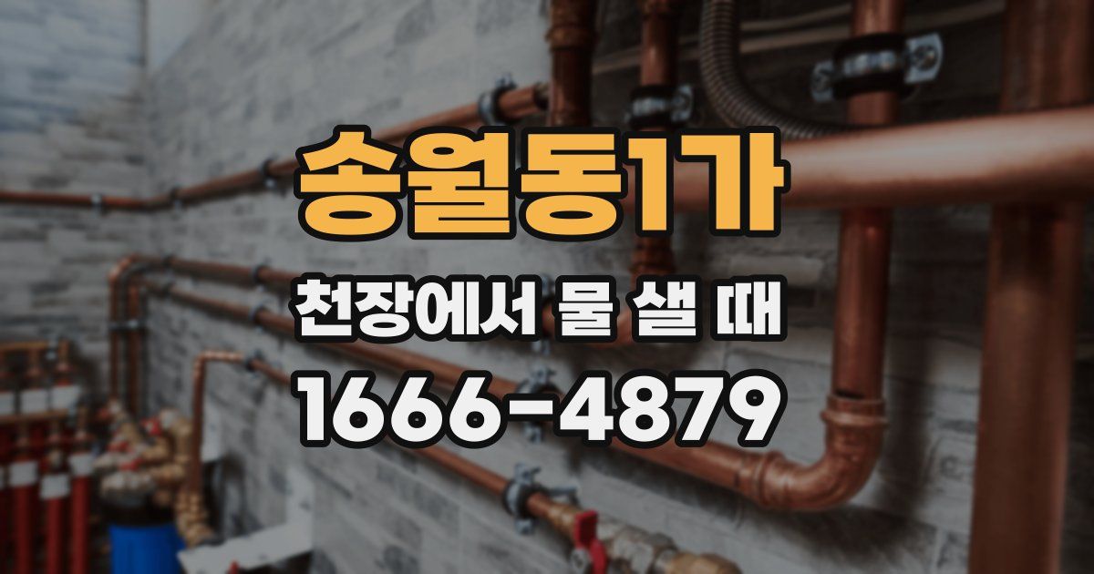 송월동1가 천장에서 물 샐 때