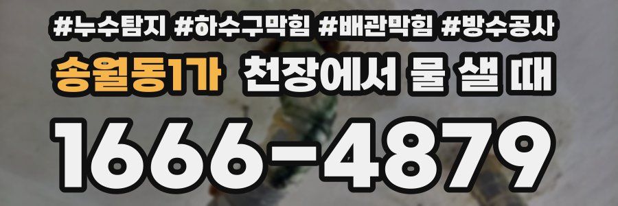 송월동1가 천장에서 물 샐 때